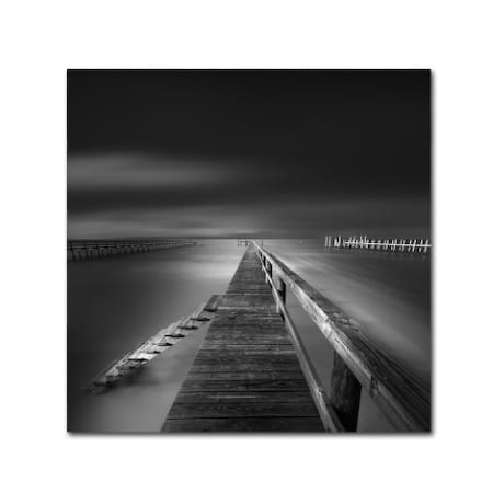 Moises Levy 'Options BW' Canvas Art,35x35